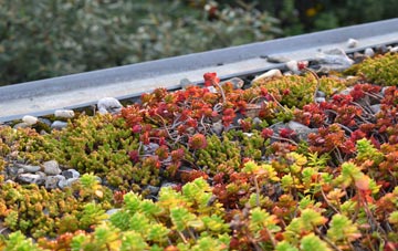the cost of Clun green roof installation