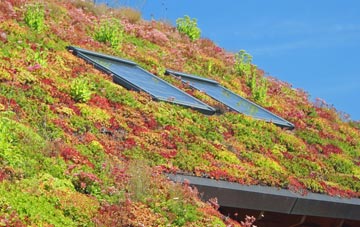 Clun living roof systems